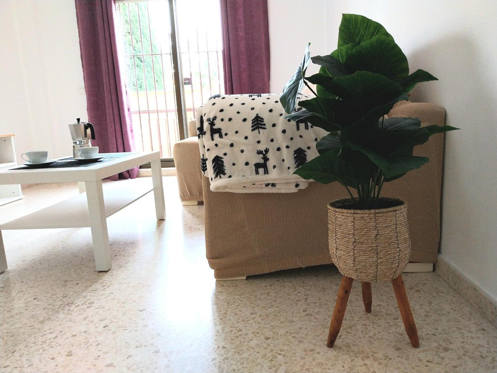 Top Suite Apartment Jerez Jardin Y Patio Jerez de la Frontera Kültér fotó